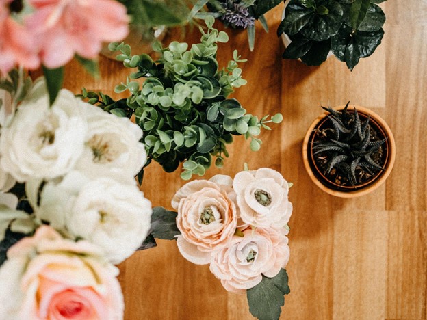 Best Indoor Plants for Spring