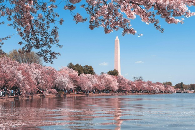 Exercise Hotspots in Washington DC
